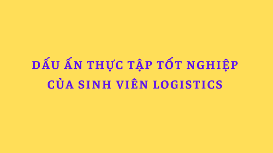 Dấu ấn thực tập tốt nghiệp của sinh viên Logistics