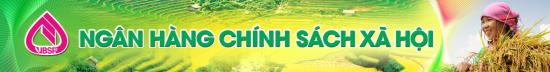Hướng dẫn Sinh viên vay vốn Ngân hàng Chính sách xã hội
