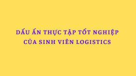 Dấu ấn thực tập tốt nghiệp của sinh viên Logistics