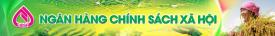Hướng dẫn Sinh viên vay vốn Ngân hàng Chính sách xã hội