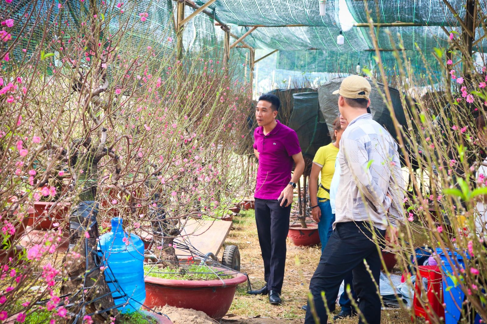 cao-dang-ctim-xuan-canh-ty-2020